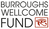 Burroughs Wellcome Fund