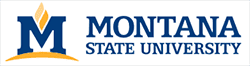 Montana State University