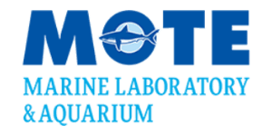 Motemarinelab250